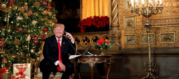 Donald Trump, el presidente de EEUU - Sputnik Mundo