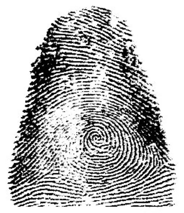 Huella del pulgar derecho de Francisca Rojas Huella del pulgar derecho de Francisca Rojas - Sputnik Mundo