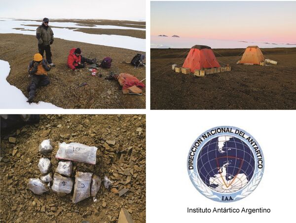 Imágenes de la expedición que encontró los restos de un plesiosaurio de alrededor de 150 millones de años en la península Antártica - Sputnik Mundo