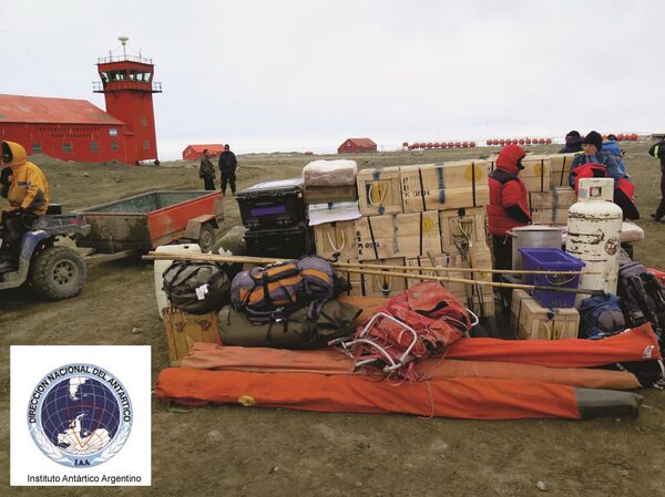 Imágenes de la expedición que encontró los restos de un plesiosaurio de alrededor de 150 millones de años en la península Antártica - Sputnik Mundo