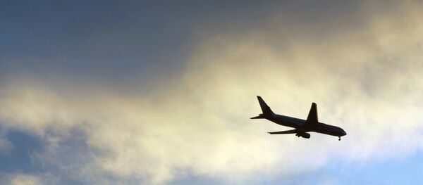 Un avión en el cielo (imagen referencial) - Sputnik Mundo
