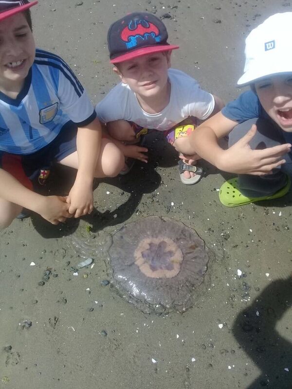 Niños con medusas en Argentina Niños con medusas en Argentina - Sputnik Mundo
