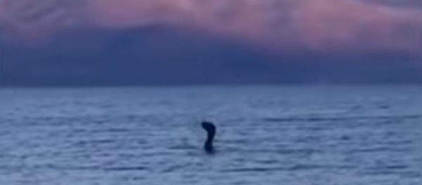 Aparece en los Balcanes un nuevo 'monstruo del Lago Ness' - Sputnik Mundo