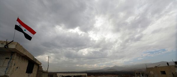 Situación en Siria - Sputnik Mundo