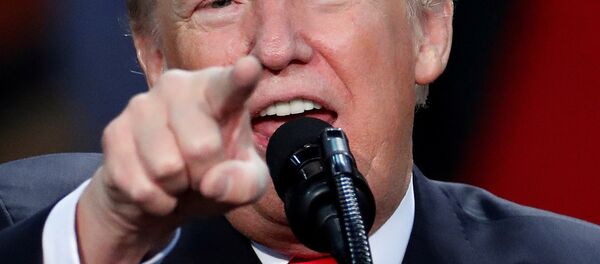 Donald Trump, el presidente de EEUU - Sputnik Mundo