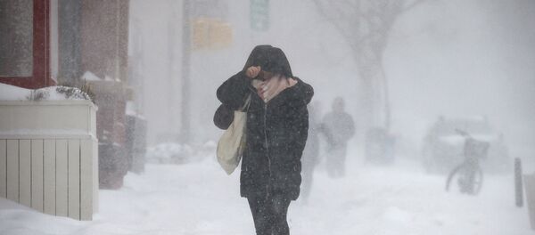 Ola de frío en Nueva York, EEUU - Sputnik Mundo