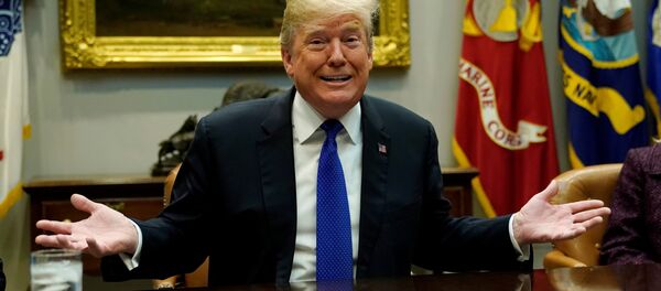 Donald Trump, presidente de EEUU - Sputnik Mundo