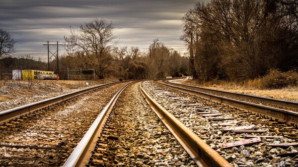 Rieles de tren (imagen referencial) - Sputnik Mundo