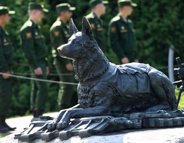 Monumento dedicado a los perros del frente de batalla Monumento dedicado a los perros del frente de batalla - Sputnik Mundo