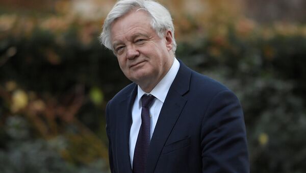 David Davis, el ministro británico del Brexit - Sputnik Mundo