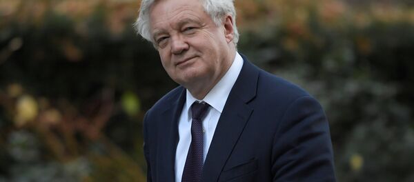 David Davis, el ministro británico del Brexit (archivo) - Sputnik Mundo