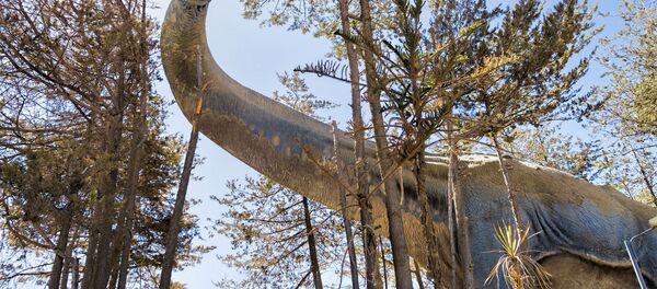 Réplica de un titanosaurio Réplica de un titanosaurio - Sputnik Mundo