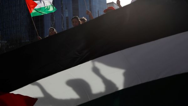 Manifestantes con banderas de Palestina Manifestantes con banderas de Palestina - Sputnik Mundo