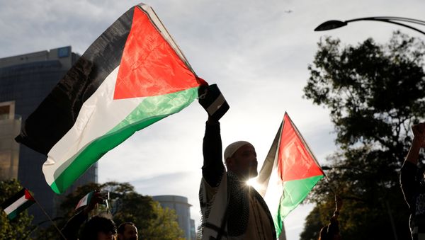 Un hombre con la bandera de Palestina (archivo) Un hombre con la bandera de Palestina (archivo) - Sputnik Mundo
