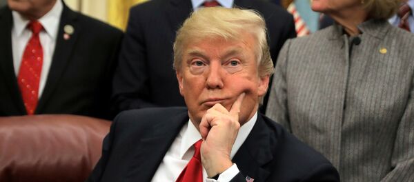 Donald Trump, presidente de EEUU - Sputnik Mundo