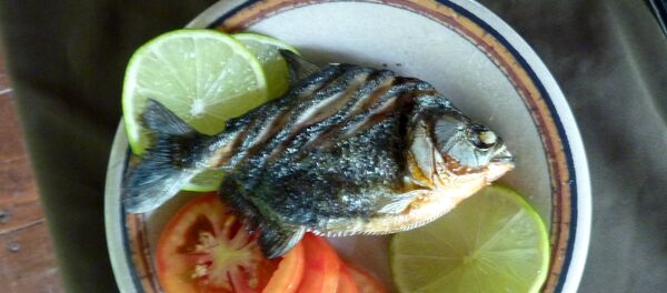 Una piraña grillada del Amazonas servida en Perú - Sputnik Mundo