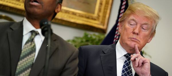 Donald Trump, presidente de EEUU - Sputnik Mundo