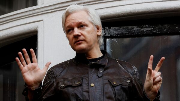 Julian Assange, fundador de WikiLeaks - Sputnik Mundo