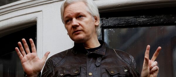 Julian Assange, fundador de WikiLeaks - Sputnik Mundo