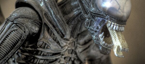 Xenomorfo, imagen referencial Xenomorfo, imagen referencial - Sputnik Mundo