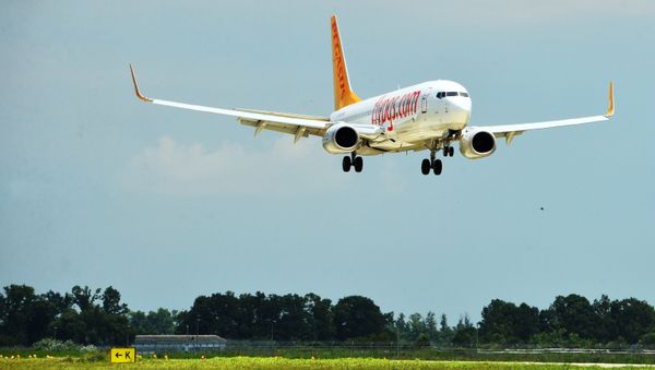 Un avión de la aerolínea Pegasus Airlines Un avión de la aerolínea Pegasus Airlines - Sputnik Mundo