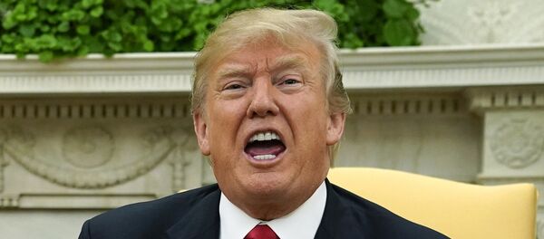 Donald Trump, presidente de EEUU - Sputnik Mundo