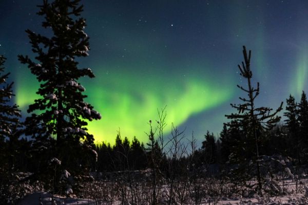 La hipnótica danza de la aurora boreal en el Ártico ruso La hipnótica danza de la aurora boreal en el Ártico ruso - Sputnik Mundo
