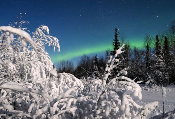 La hipnótica danza de la aurora boreal en el Ártico ruso La hipnótica danza de la aurora boreal en el Ártico ruso - Sputnik Mundo
