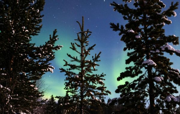 La hipnótica danza de la aurora boreal en el Ártico ruso La hipnótica danza de la aurora boreal en el Ártico ruso - Sputnik Mundo