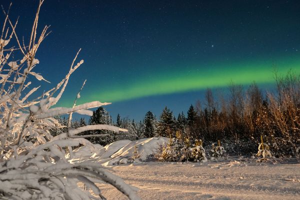 La hipnótica danza de la aurora boreal en el Ártico ruso La hipnótica danza de la aurora boreal en el Ártico ruso - Sputnik Mundo