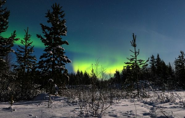 La hipnótica danza de la aurora boreal en el Ártico ruso La hipnótica danza de la aurora boreal en el Ártico ruso - Sputnik Mundo