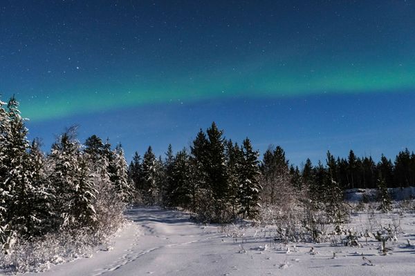 La hipnótica danza de la aurora boreal en el Ártico ruso La hipnótica danza de la aurora boreal en el Ártico ruso - Sputnik Mundo