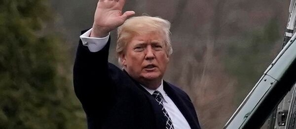 Donald Trump, presidente de EEUU Donald Trump, presidente de EEUU - Sputnik Mundo