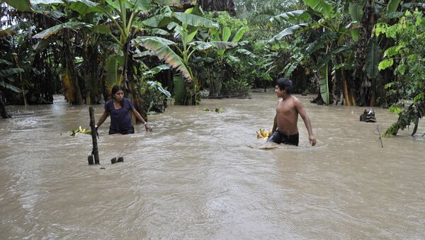 Inundación en Bolivia (archivo) - Sputnik Mundo