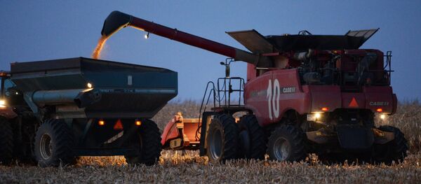 Período de cosecha en Rusia (archivo) - Sputnik Mundo