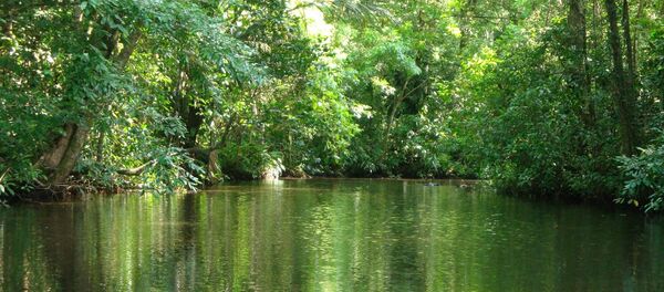 Recursos hídricos de Costa Rica - Sputnik Mundo