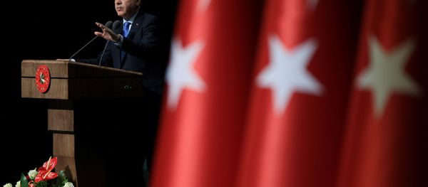 Recep Tayyip Erdogan, el presidente de Turquía - Sputnik Mundo