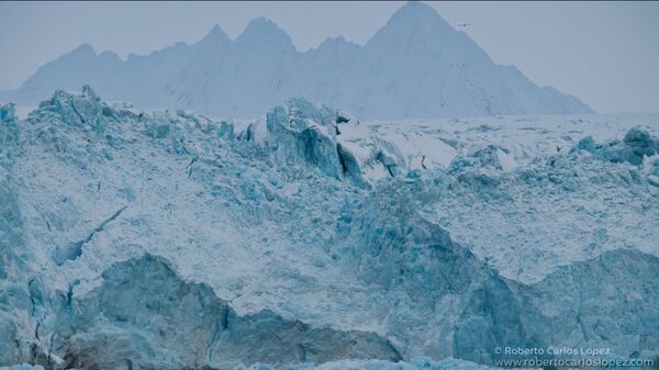 La isla de Spitsbergen - Sputnik Mundo