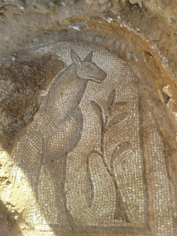 Mosaico de la época bizantina encontrado en Akerbat - Sputnik Mundo