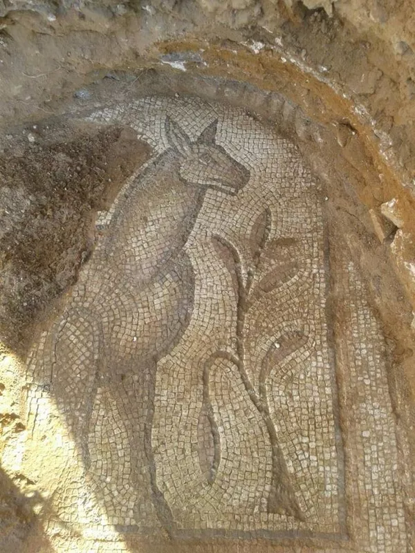 Mosaico de la época bizantina encontrado en Akerbat Mosaico de la época bizantina encontrado en Akerbat - Sputnik Mundo