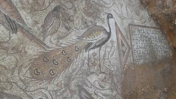 Mosaico de la época bizantina encontrado en Akerbat, Siria - Sputnik Mundo