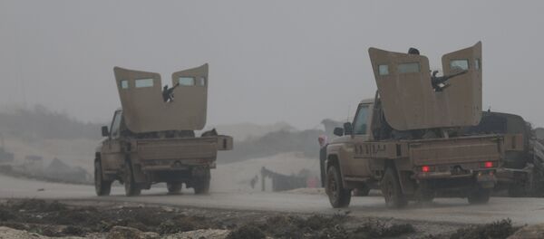 La situación en Afrín, Siria - Sputnik Mundo