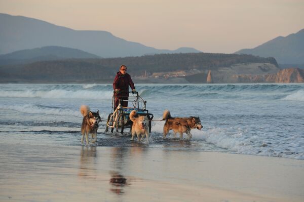 La 'perla negra' de las Kuriles: la belleza de la isla de Kunashir - Sputnik Mundo