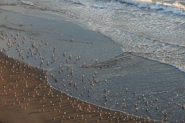 La 'perla negra' de las Kuriles: la belleza de la isla de Kunashir - Sputnik Mundo