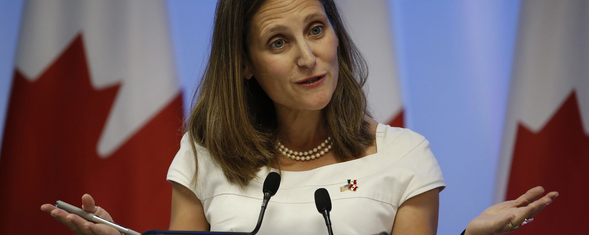 Chrystia Freeland, la ministra de Finanzas de Canadá - Sputnik Mundo, 1920, 16.12.2024