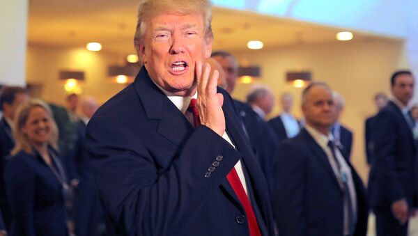 Donald Trump, el presidente de EEUU - Sputnik Mundo
