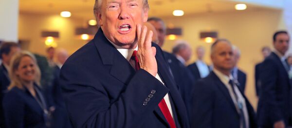 Donald Trump, el presidente de EEUU - Sputnik Mundo