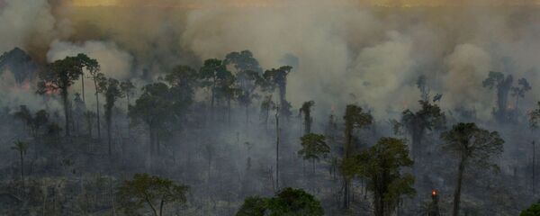 Incendios forestales en la Amazonía brasileña (archivo) - Sputnik Mundo