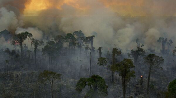 Incendios forestales en la Amazonía brasileña (archivo) - Sputnik Mundo