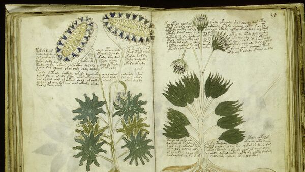 Unas páginas del Manuscrito de Voynich (imagen referencial) - Sputnik Mundo